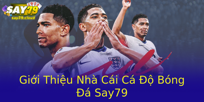 Giới Thiệu Nhà Cái Cá Độ Bóng Đá Say79